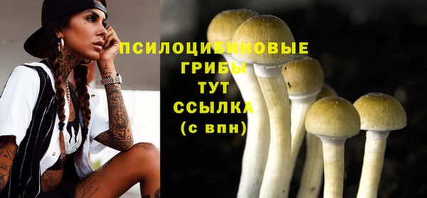 прущая мука Белоозёрский
