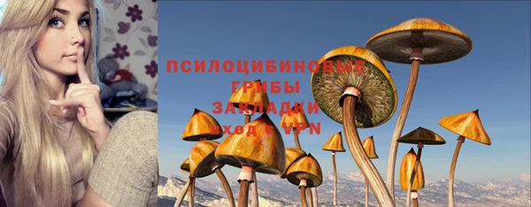 кокаин колумбия Белокуриха
