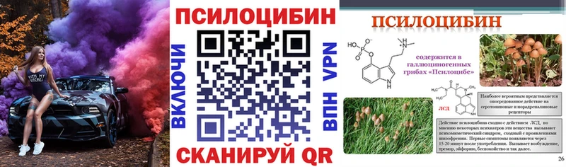 Псилоцибиновые грибы Cubensis  Купить где  Тара 
